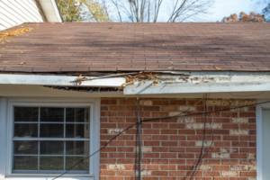 Rotting Soffit and Fascia