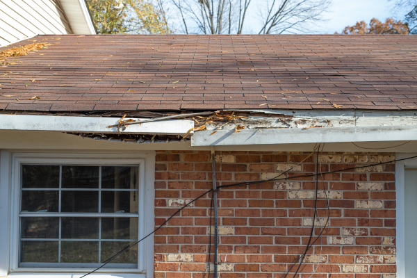 Rotting Soffit and Fascia