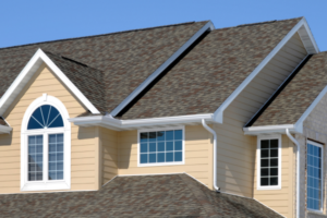 Vinyl Siding